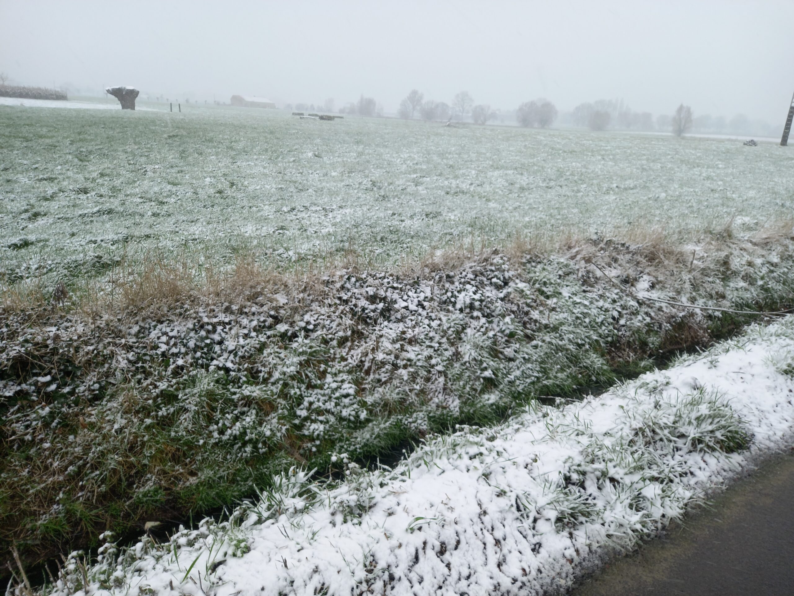 Ledegem onder een witte deken